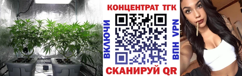 цены   Шали  Дистиллят ТГК вейп 